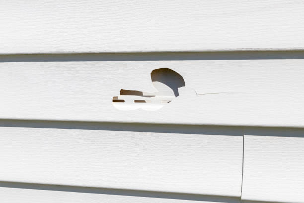 How To Choose The Right Materials for Your Siding Installation in 'Weweantic, MA